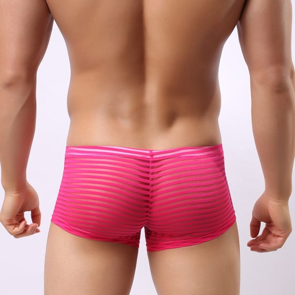 Men's semi transparent mesh underwear - Picture 3 of 3